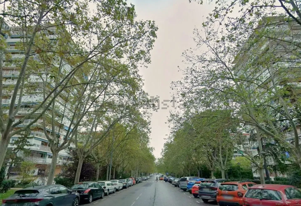 alcorcon