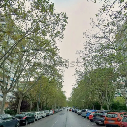 alcorcon